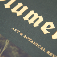Magazine Blumenhaus #3