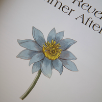 Magazine Blumenhaus #3