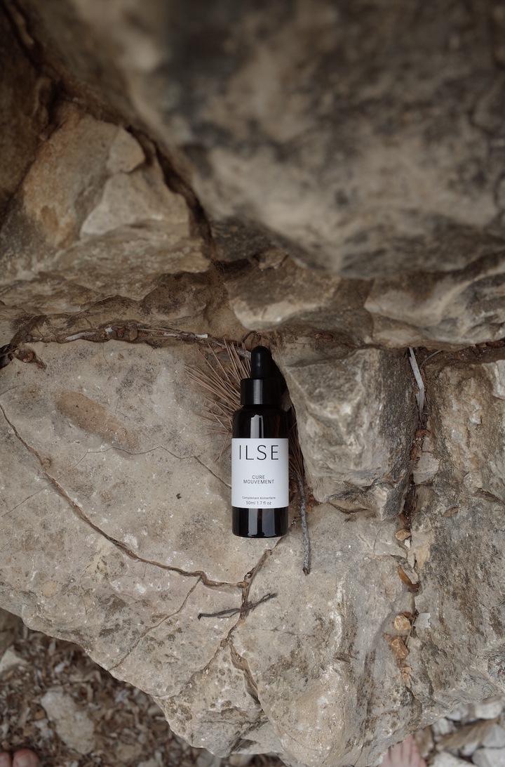 Biomimétisme : quand le bien-être s’inspire du vivant