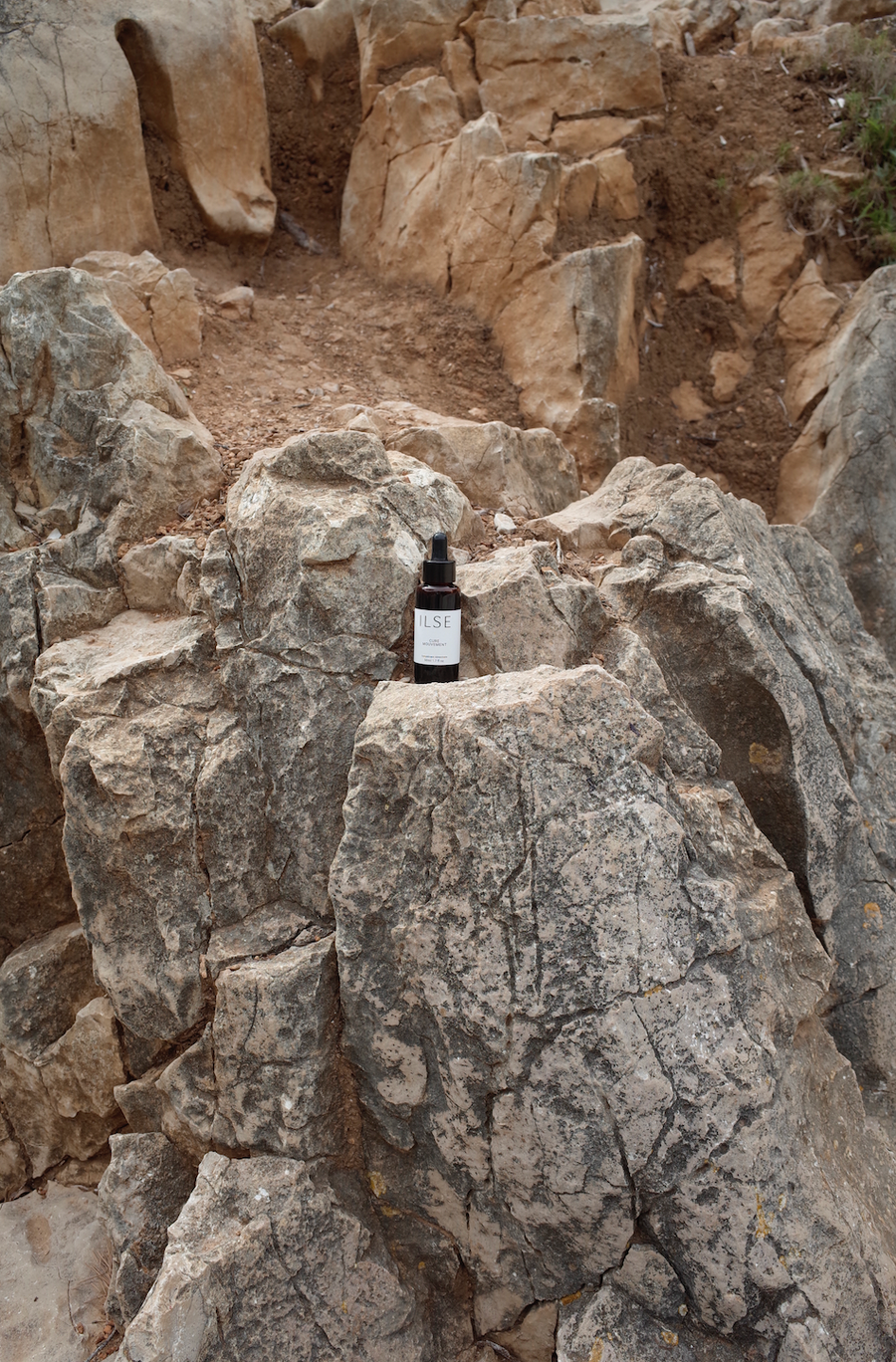 Biomimétisme : quand le bien-être s’inspire du vivant